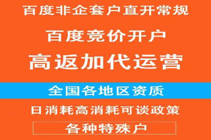 成功背后的力量：SEM推广代运营公司的故事